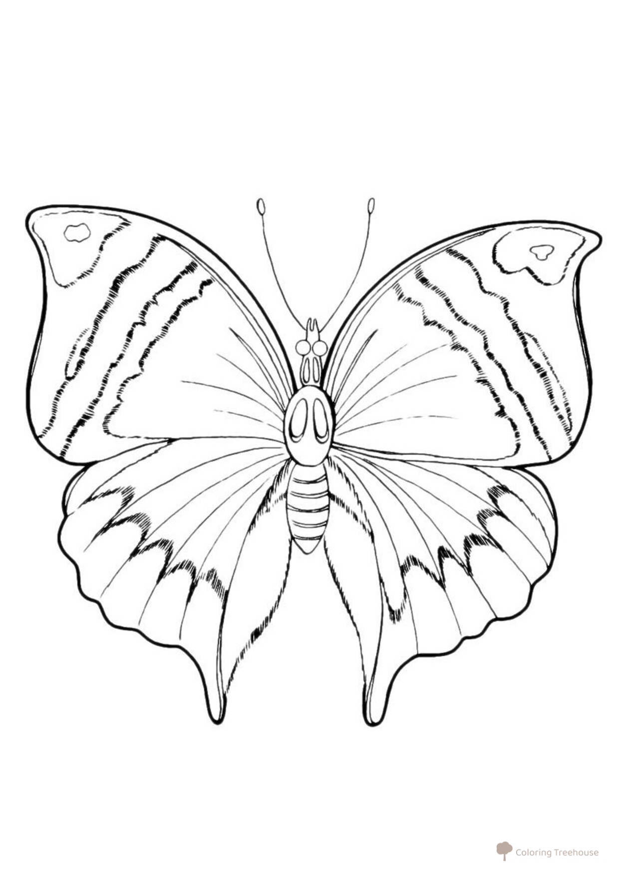 Butterfly Coloring Page in Search of Food free printable Butterfly Coloring Pages and Flowers coloring page