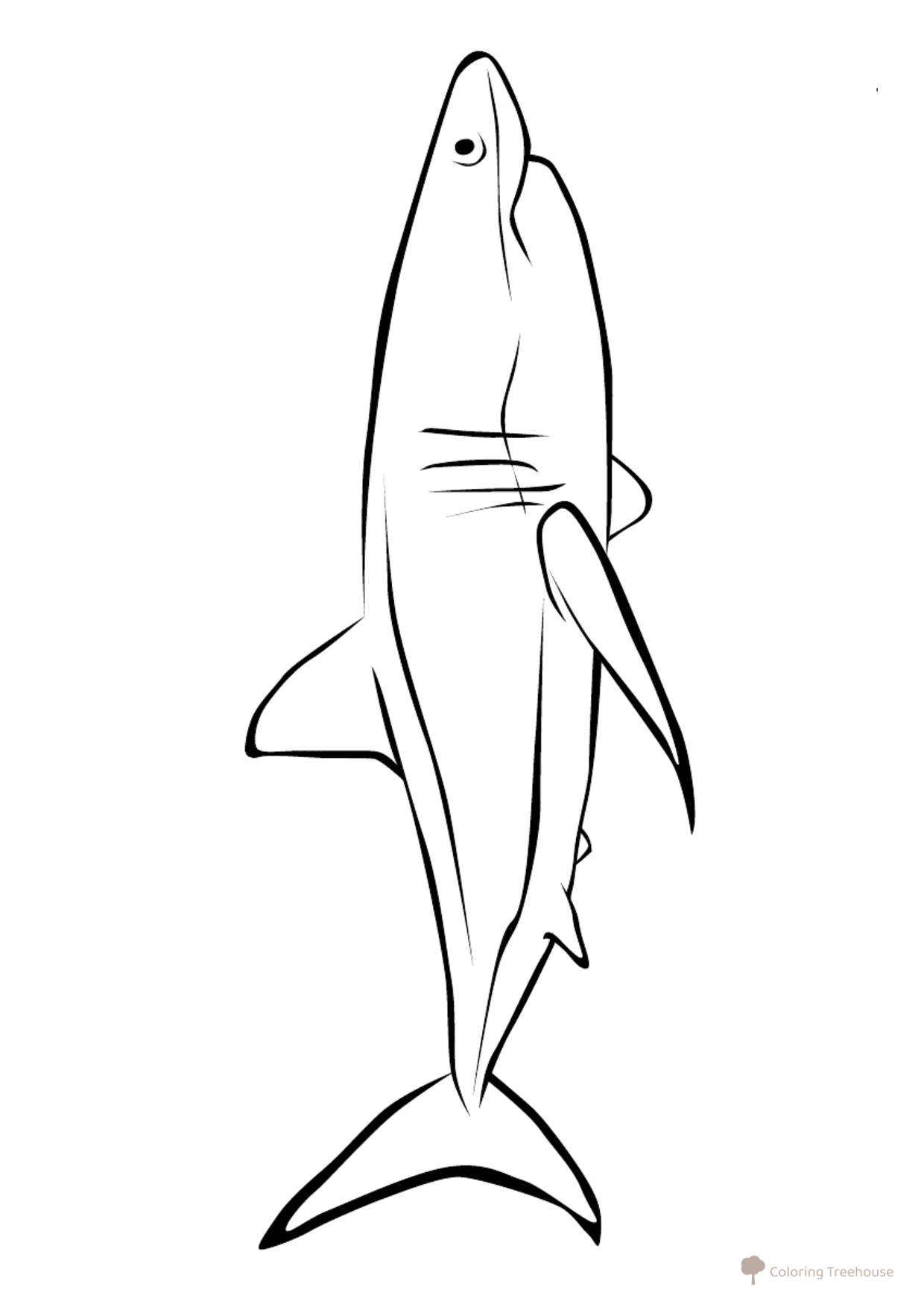 Shark Coloring Page free printable Fish Coloring Pages for Kids coloring page