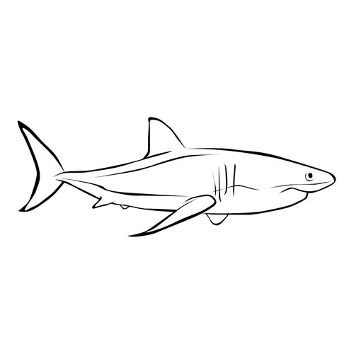 Shark Coloring Page free printable Fish Coloring Pages for Kids coloring page