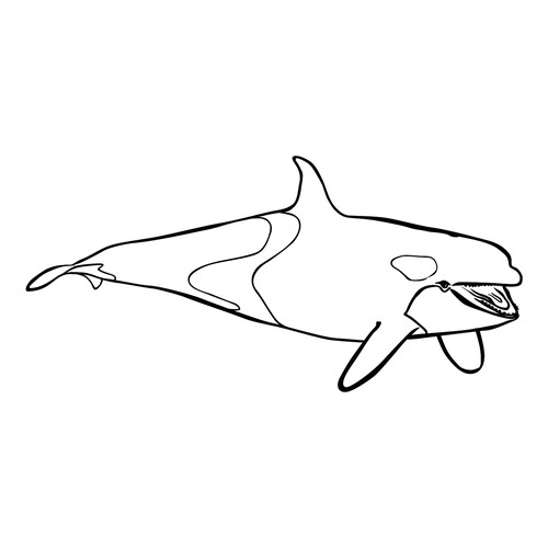 Dolphin-Orca Coloring Page free printable Fish Coloring Pages for Kids coloring page