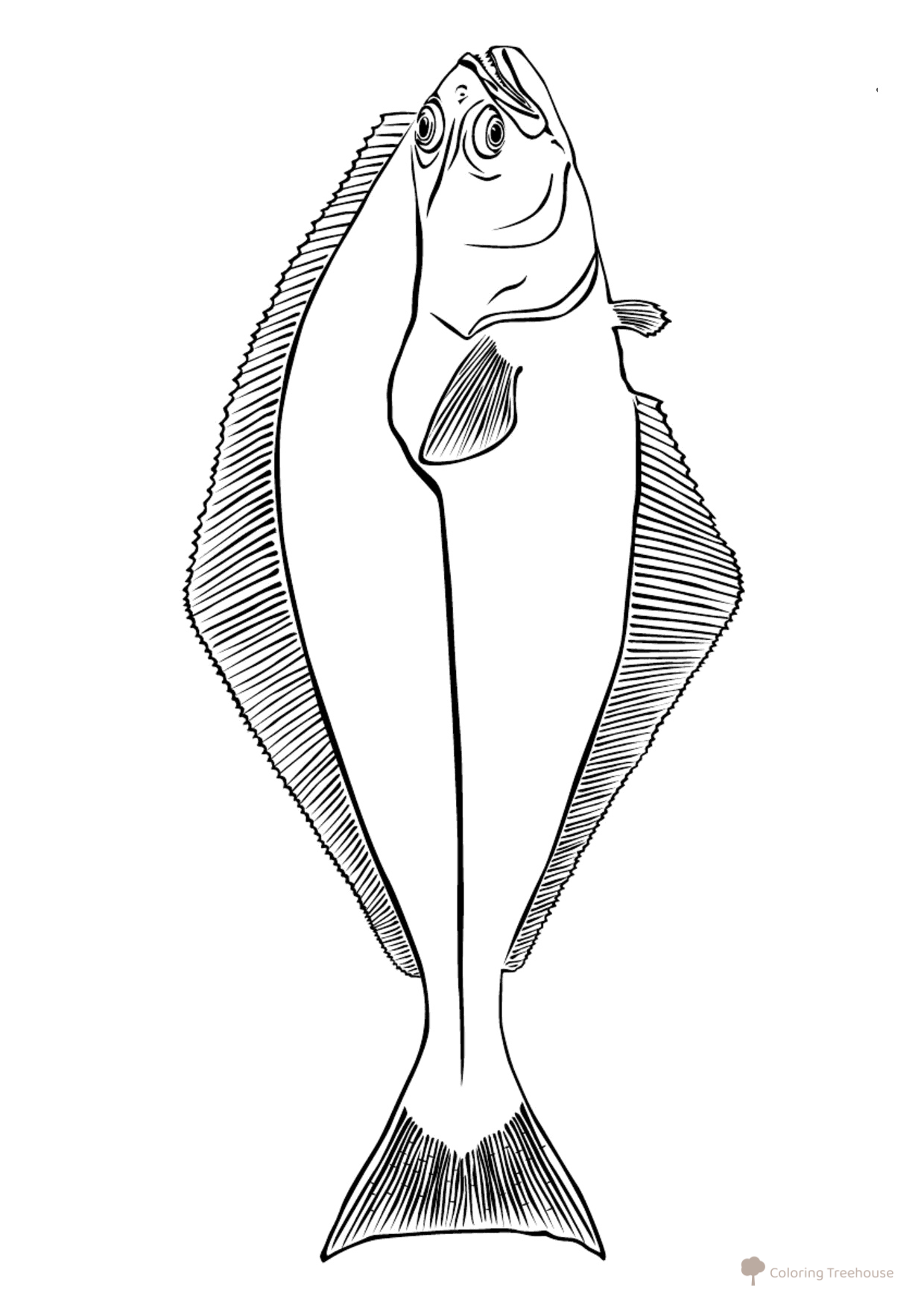 Halibut Coloring Page free printable Fish Coloring Pages for Kids coloring page