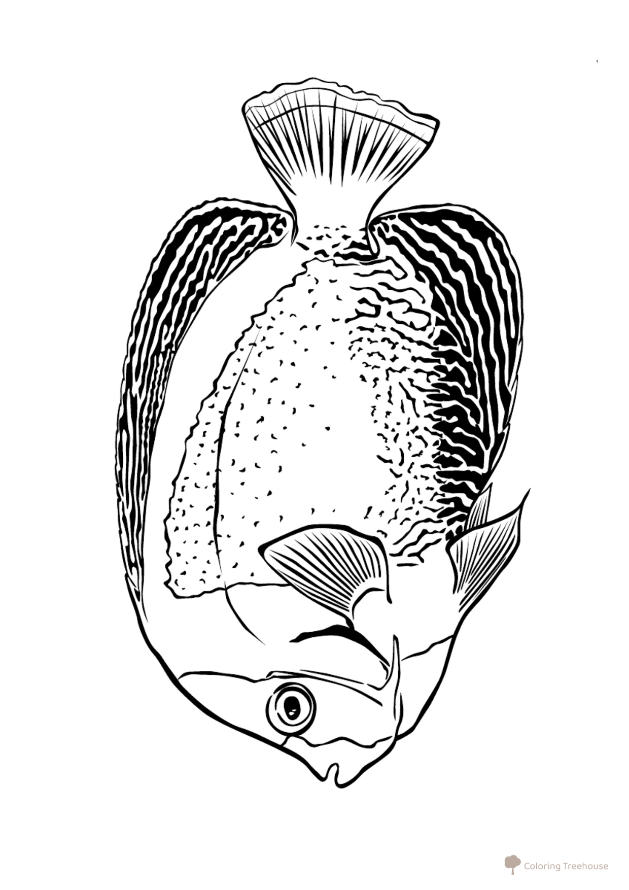 Sea Angel Coloring Page free printable Fish Coloring Pages for Kids coloring page