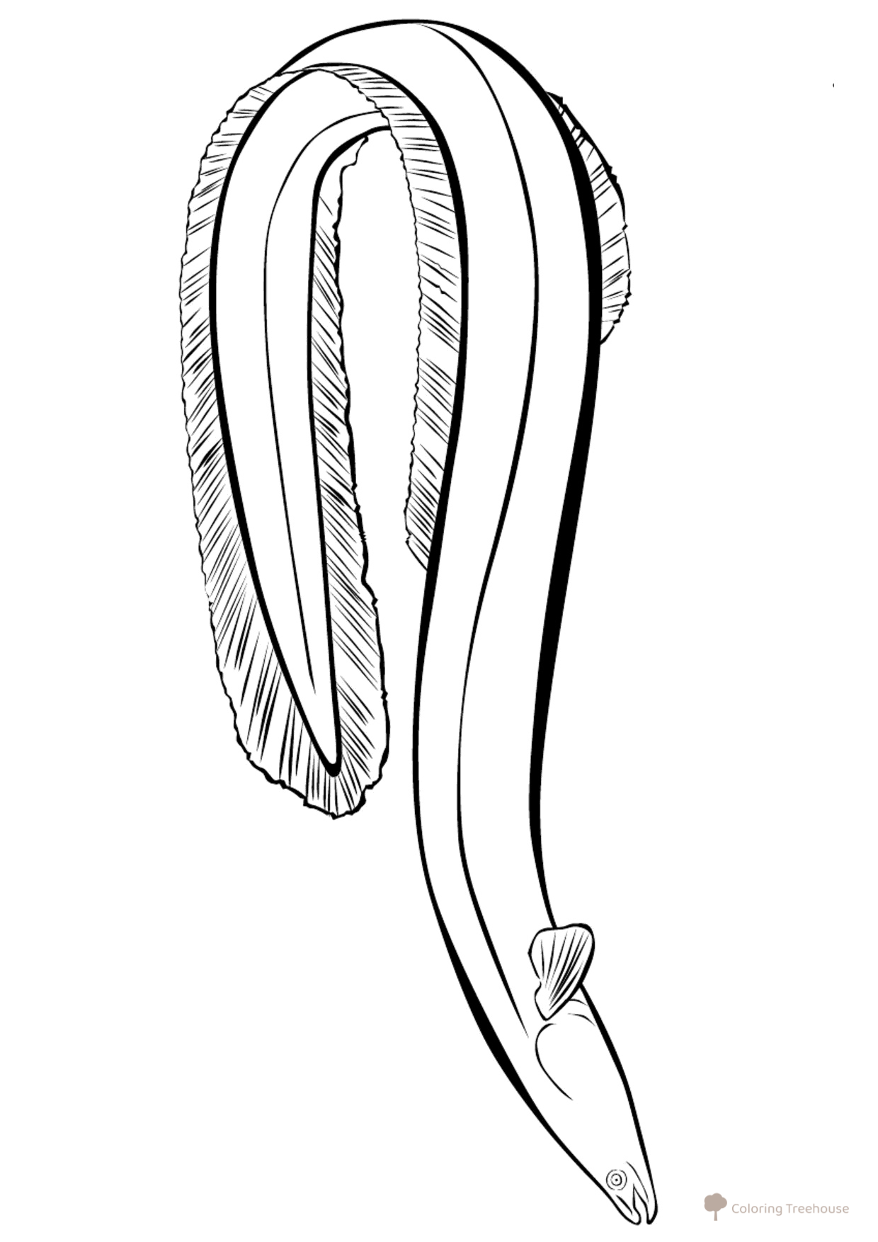 Eel Coloring Page free printable Fish Coloring Pages for Kids coloring page