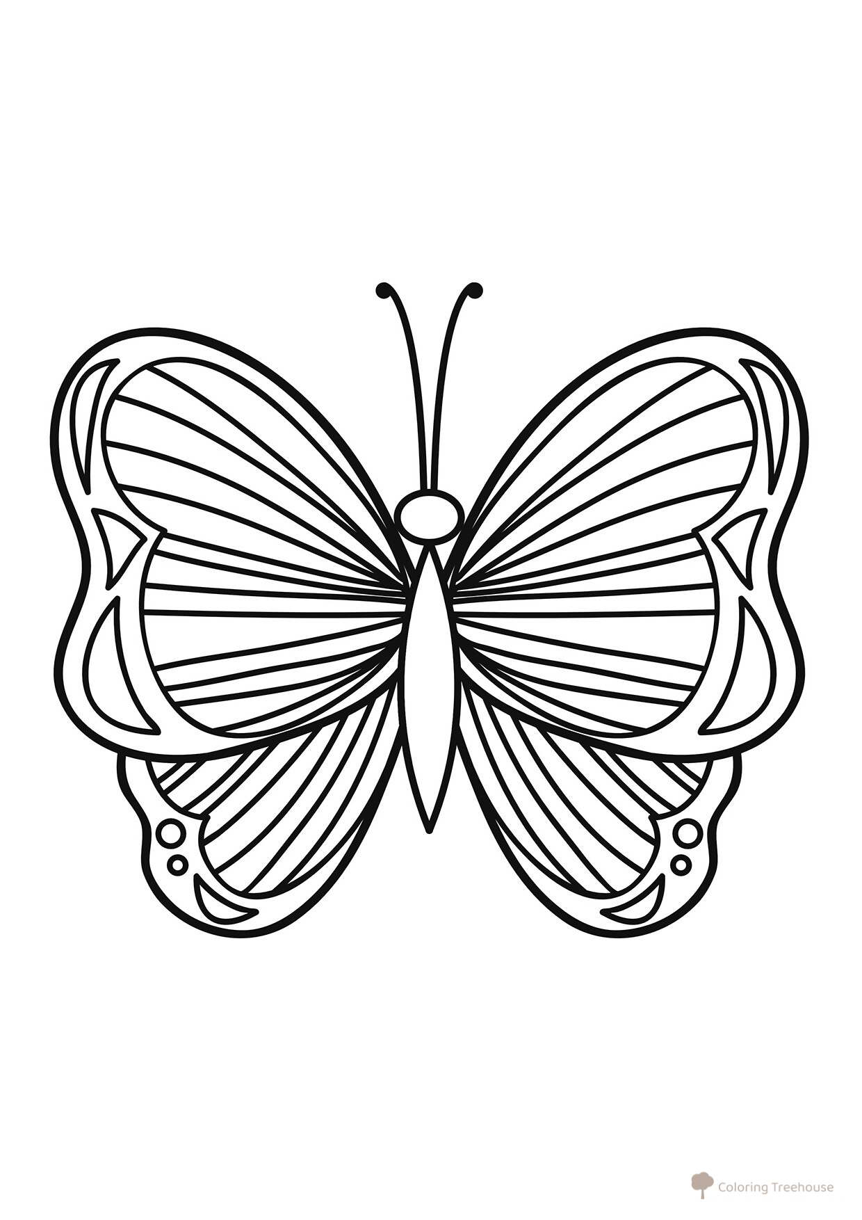 Página para colorear: Mariposa hermosa con rayas dibujo para colorear gratis de Mariposas – láminas para colorear. Mariposas y flores