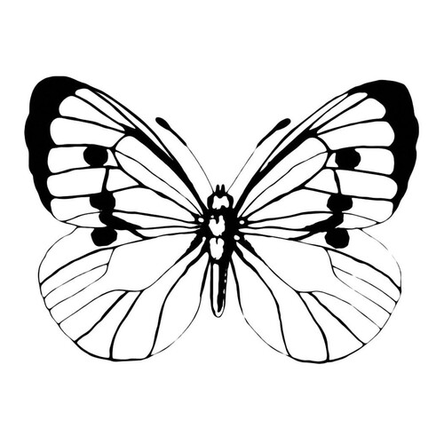 Página para colorear: Mariposa fácil dibujo para colorear gratis de Mariposas – láminas para colorear. Mariposas y flores