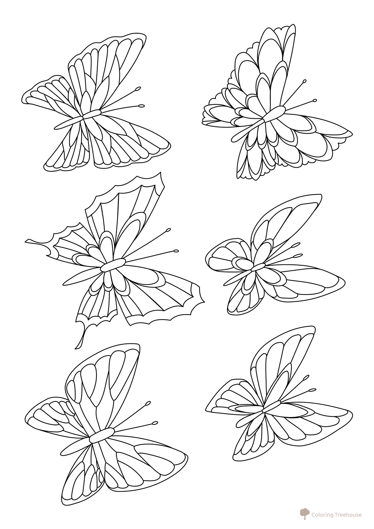 Set of 6 Butterfly Coloring Pages free printable Butterfly Coloring Pages and Flowers coloring page
