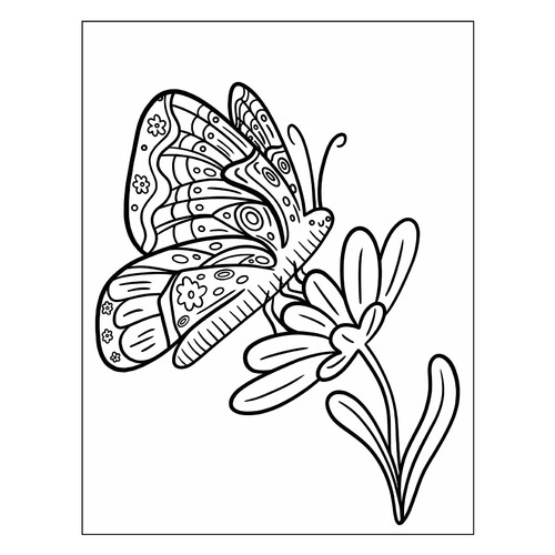 Página para colorear «Mariposa feliz en la flor» dibujo para colorear gratis de Mariposas – láminas para colorear. Mariposas y flores