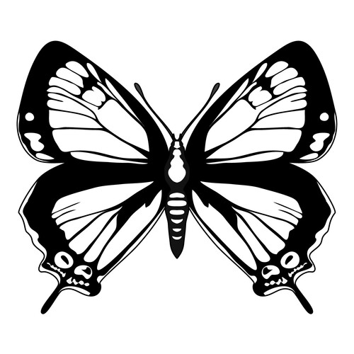 Libro para colorear: Mariposa elegante dibujo para colorear gratis de Mariposas – láminas para colorear. Mariposas y flores