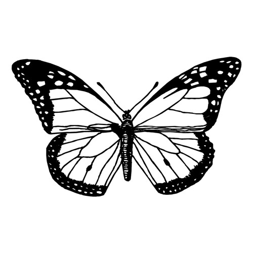 Página para colorear: Mariposa cansada dibujo para colorear gratis de Mariposas – láminas para colorear. Mariposas y flores