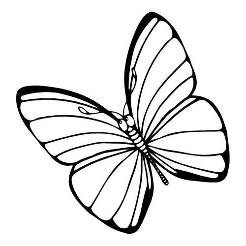 Página para colorear: Mariposa pensativa dibujo para colorear gratis de Mariposas – láminas para colorear. Mariposas y flores