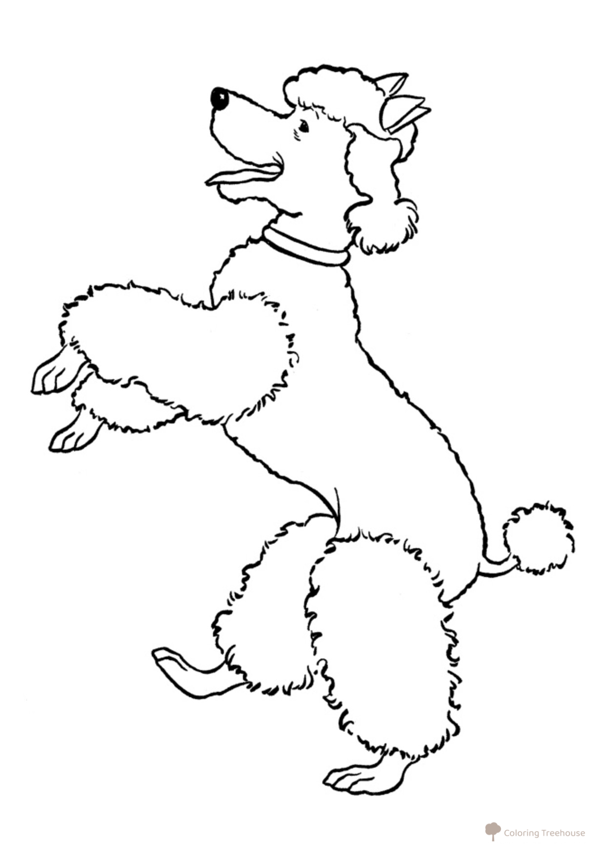 Poodle Standing on Its Hind Legs Coloring Page free printable Dog and Puppy Coloring Pages coloring page