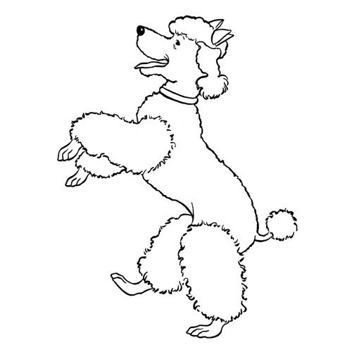 Poodle Standing on Its Hind Legs Coloring Page free printable Dog and Puppy Coloring Pages coloring page