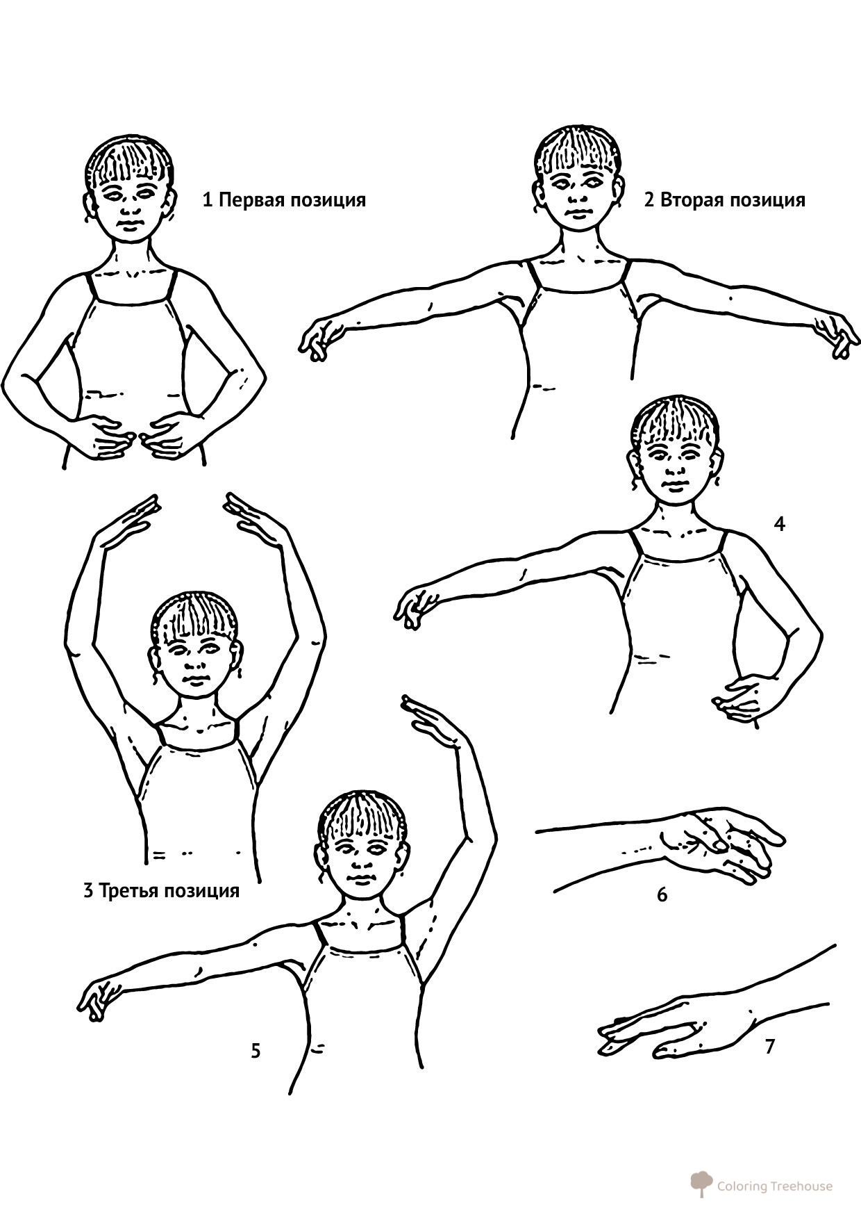 Página para colorear: Posiciones de las manos de una bailarina dibujo para colorear gratis de Ballerina Coloring Pages for Girls