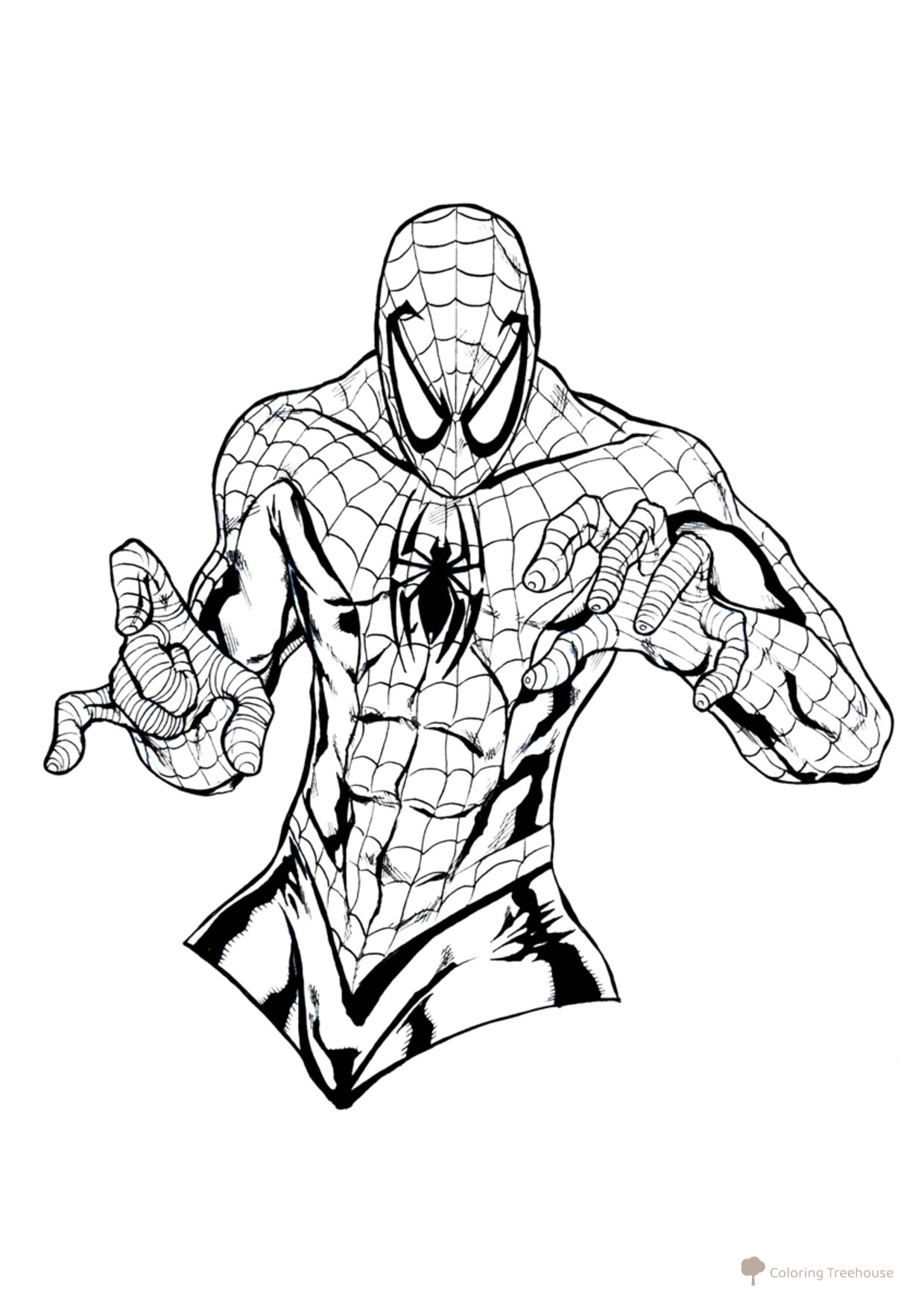 Página para colorear: torso de Spider-Man dibujo para colorear gratis de Páginas para colorear de Spider-Man