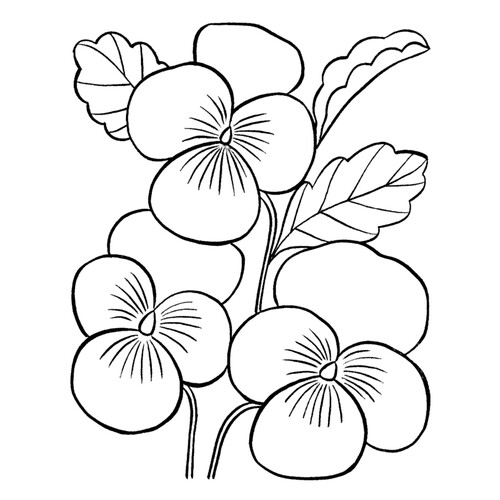 给妈妈的春日花卉着色页(3月8日) 免费可打印三八节(3月8日)着色页涂色页