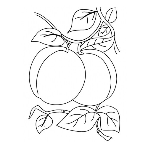 Página para colorear: Albaricoques dibujo para colorear gratis de Berry and Fruit Coloring Pages
