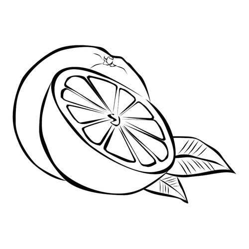 Página para colorear: Naranjas dibujo para colorear gratis de Berry and Fruit Coloring Pages