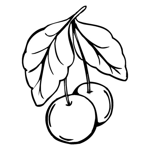 Página para colorear: Cereza dibujo para colorear gratis de Berry and Fruit Coloring Pages