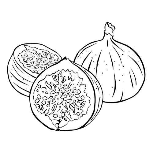 Fig Coloring Page free printable Berry and Fruit Coloring Pages coloring page