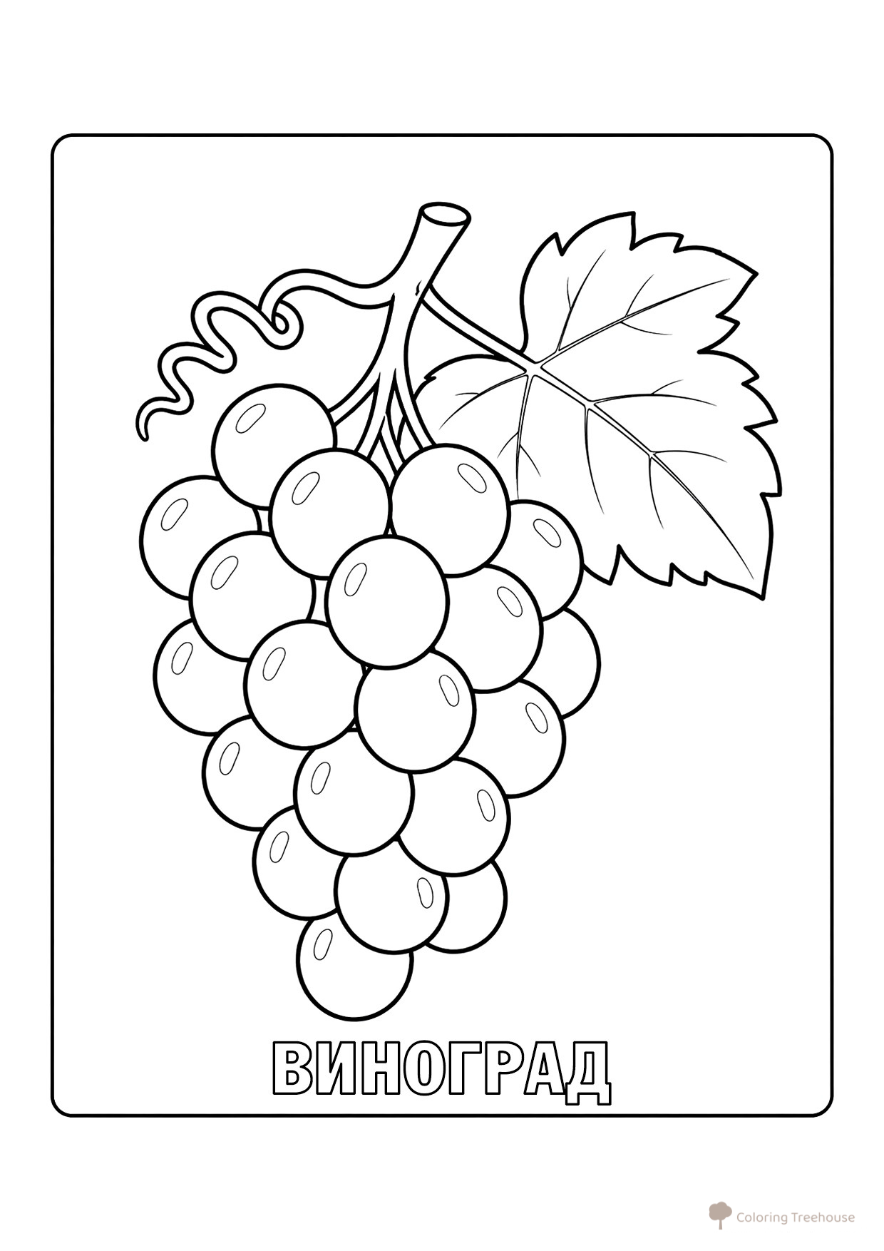 Página para colorear: Racimo de uvas dibujo para colorear gratis de Berry and Fruit Coloring Pages