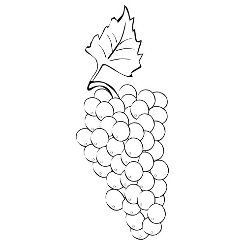 Página para colorear: Racimo de uvas dibujo para colorear gratis de Berry and Fruit Coloring Pages