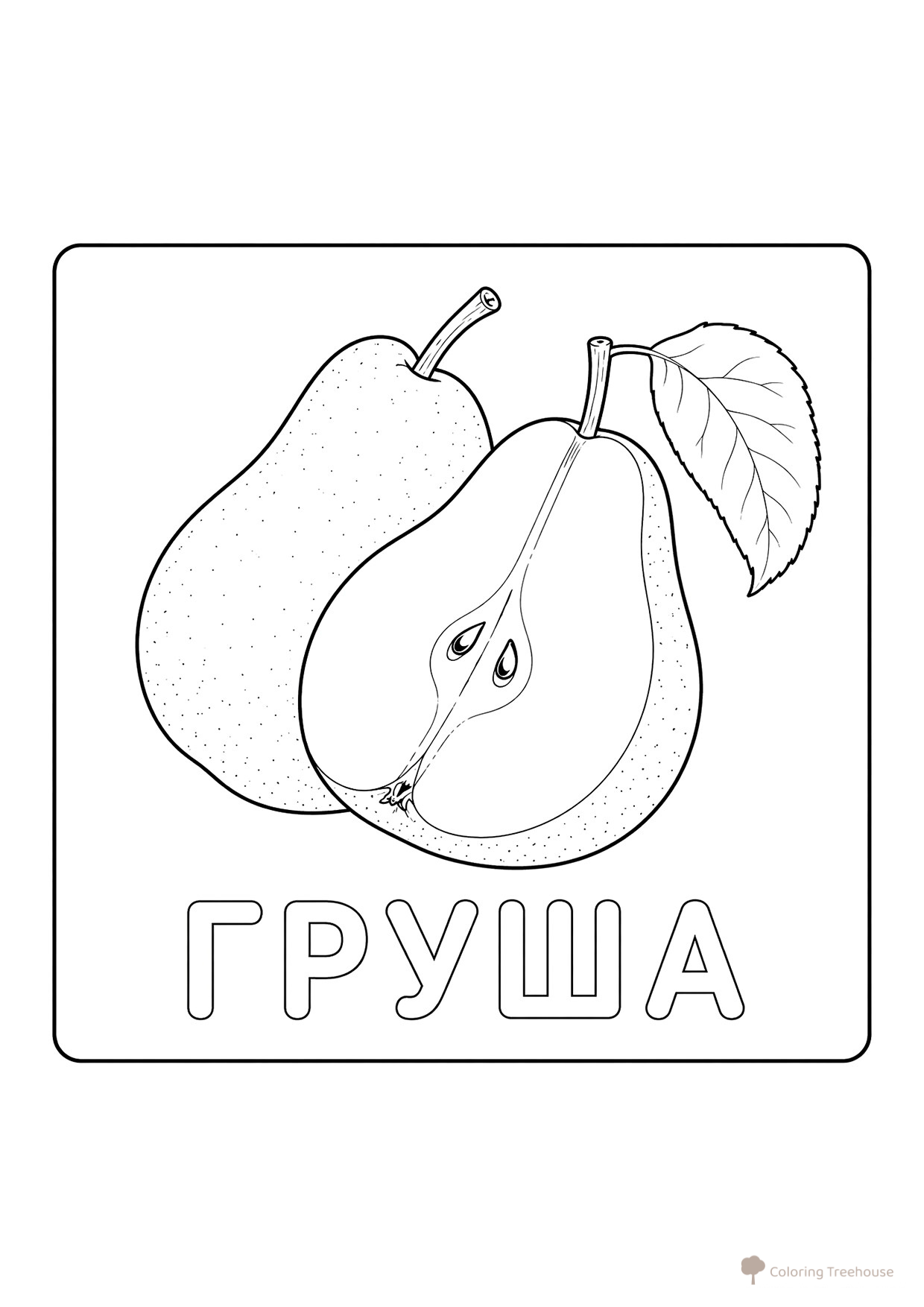 Página para colorear: Peras dibujo para colorear gratis de Berry and Fruit Coloring Pages