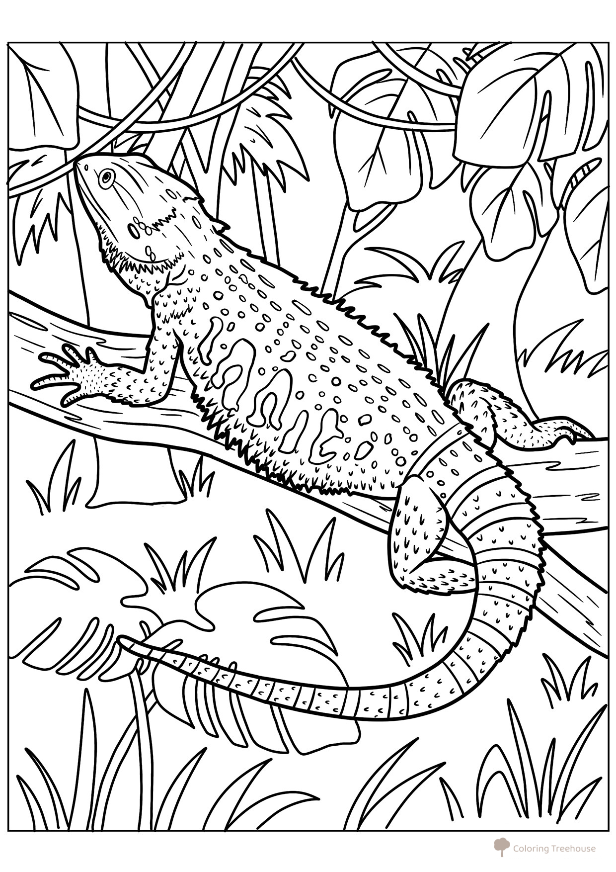 Página para colorear «Agama barbuda» dibujo para colorear gratis de Páginas para colorear de lagartos