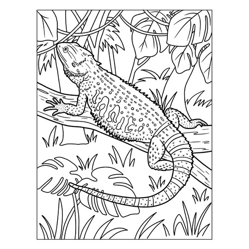 Página para colorear «Agama barbuda» dibujo para colorear gratis de Páginas para colorear de lagartos