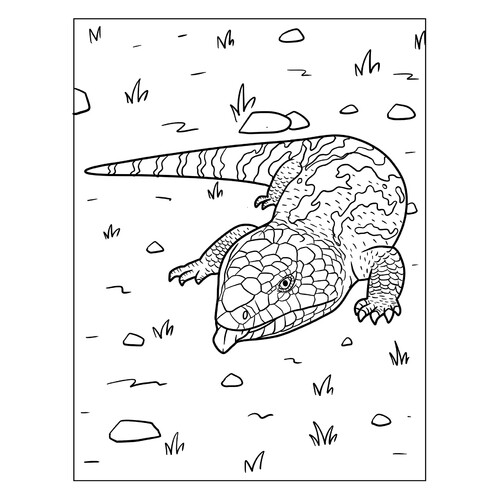Página para colorear: Escíncido azul lengua escamosa en el suelo dibujo para colorear gratis de Páginas para colorear de lagartos