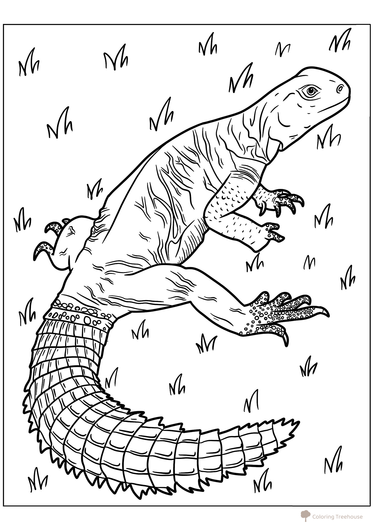 Página para colorear «Lagarto egipcio» dibujo para colorear gratis de Páginas para colorear de lagartos