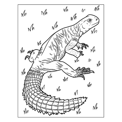Página para colorear «Lagarto egipcio» dibujo para colorear gratis de Páginas para colorear de lagartos