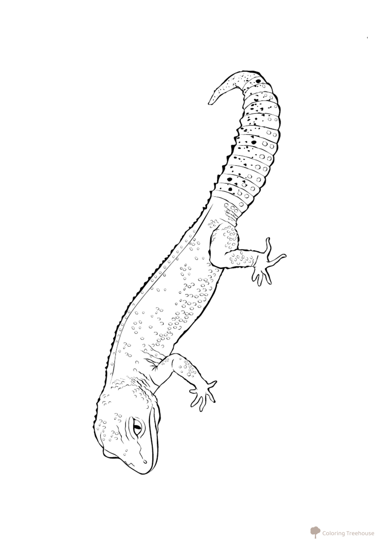 Página para colorear: Gekkon (Геккон) dibujo para colorear gratis de Páginas para colorear de lagartos