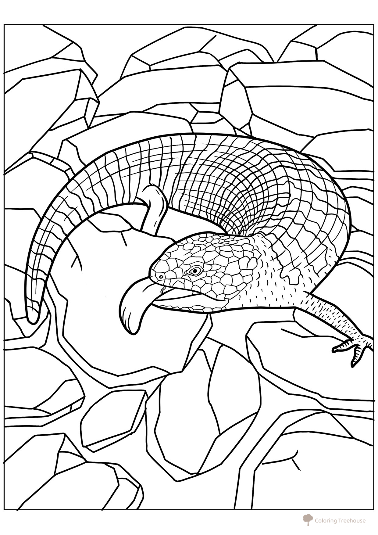 Blue-Tongued Skink Hissing Coloring Page free printable Lizard Coloring Pages coloring page