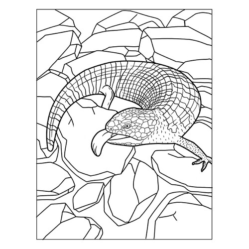 Blue-Tongued Skink Hissing Coloring Page free printable Lizard Coloring Pages coloring page