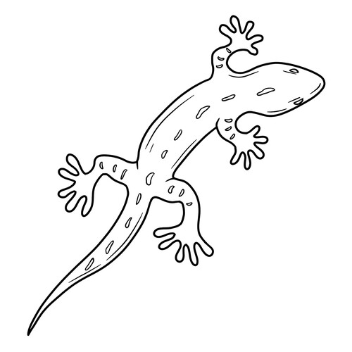 Lizard Coloring Page free printable Lizard Coloring Pages coloring page