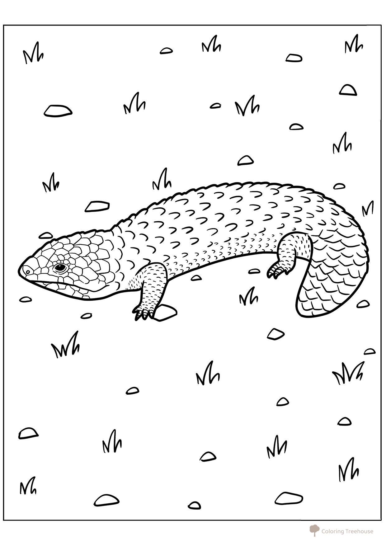 Striped Lizard Coloring Page free printable Lizard Coloring Pages coloring page
