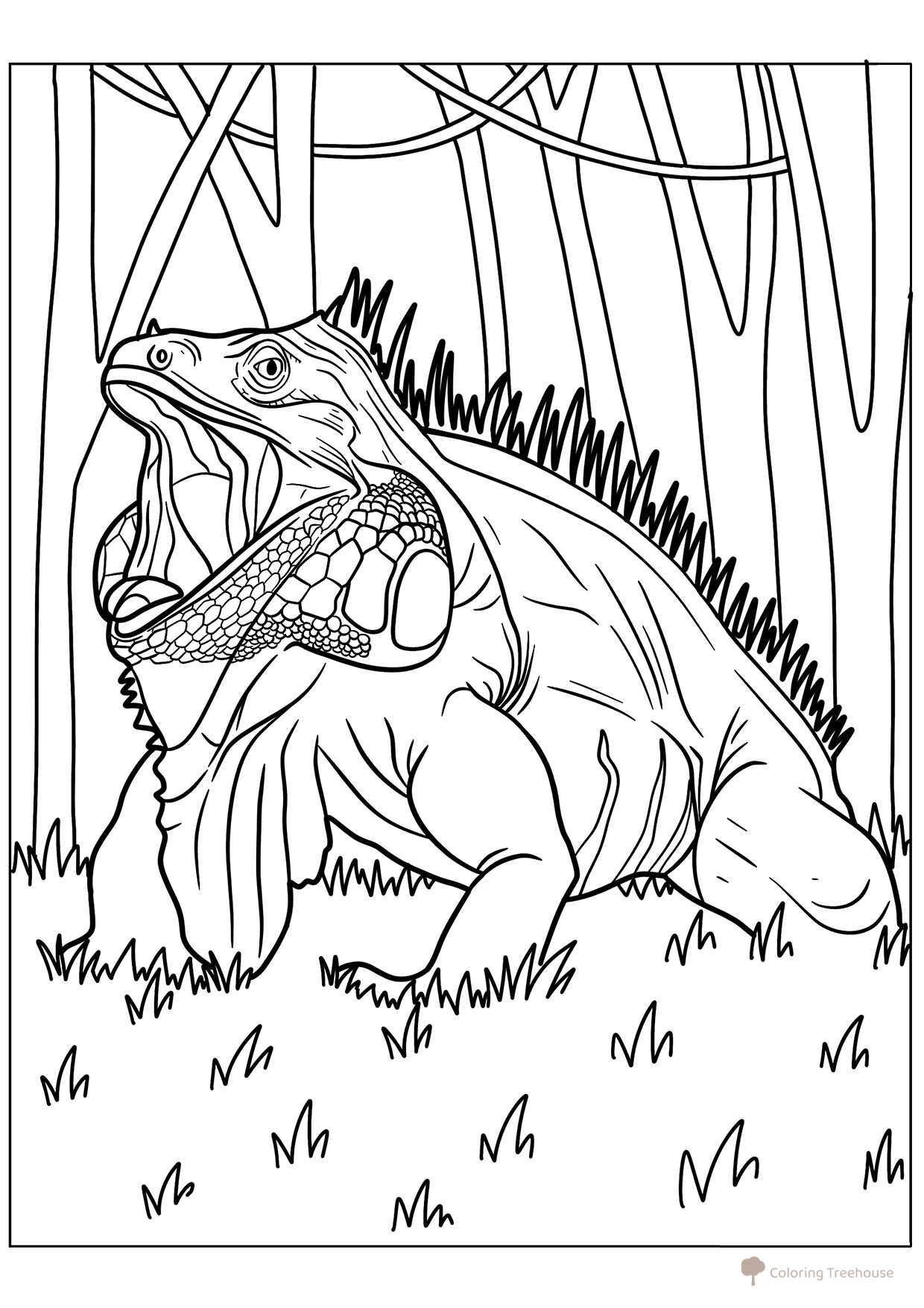 Página para colorear «Iguana verde» dibujo para colorear gratis de Páginas para colorear de lagartos