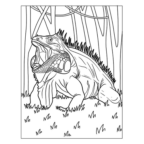 Green Iguana Coloring Page free printable Lizard Coloring Pages coloring page