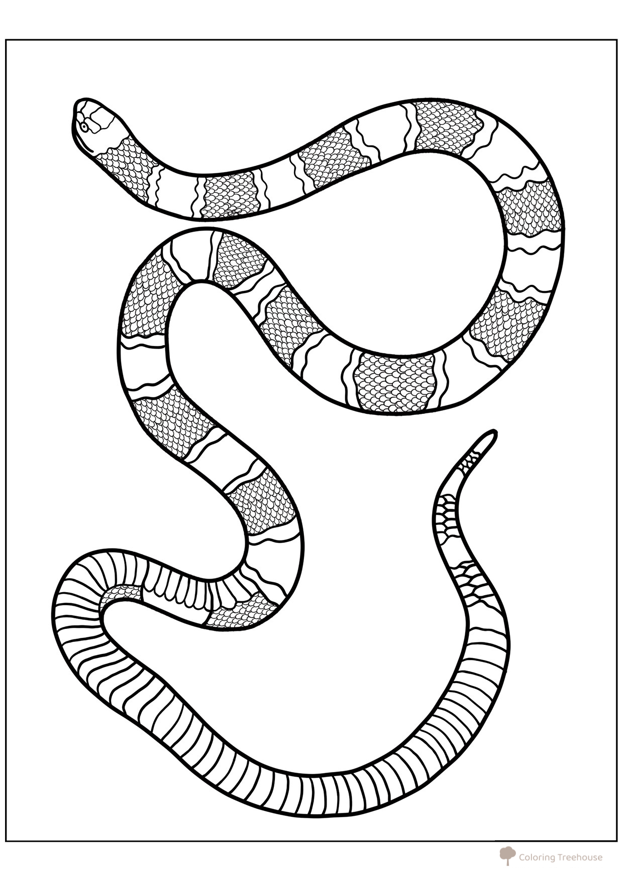 Coral Snake Coloring Page free printable Snake Coloring Pages coloring page