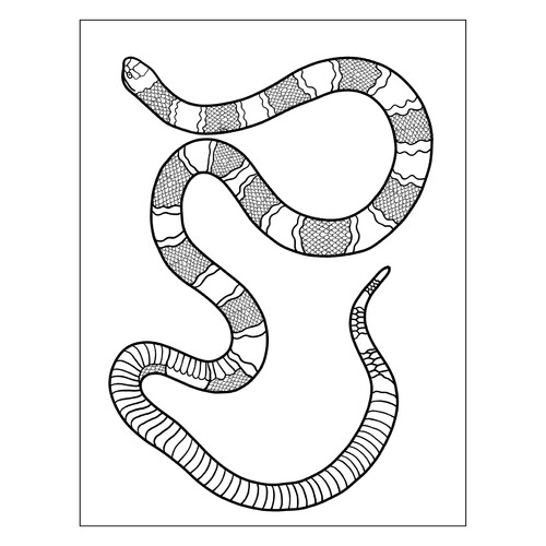 Coral Snake Coloring Page free printable Snake Coloring Pages coloring page