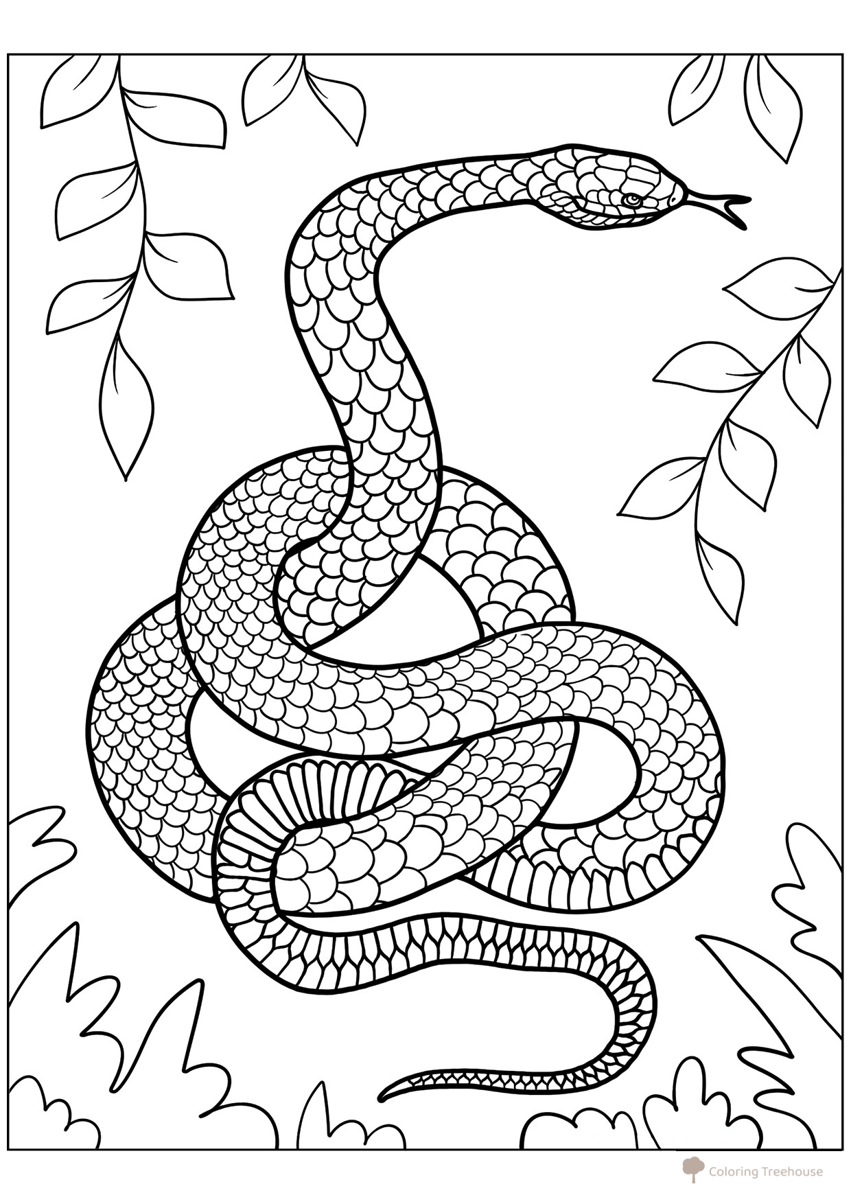 Página para colorear «Serpiente oriental» dibujo para colorear gratis de Páginas para colorear de serpientes
