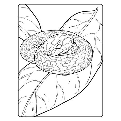Snake on a Leaf Coloring Page free printable Snake Coloring Pages coloring page