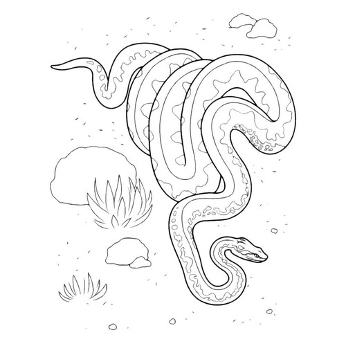 Snake Crawling Across the Desert Coloring Page free printable Snake Coloring Pages coloring page
