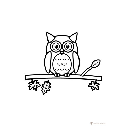 Owl on an Autumn Branch Coloring Page