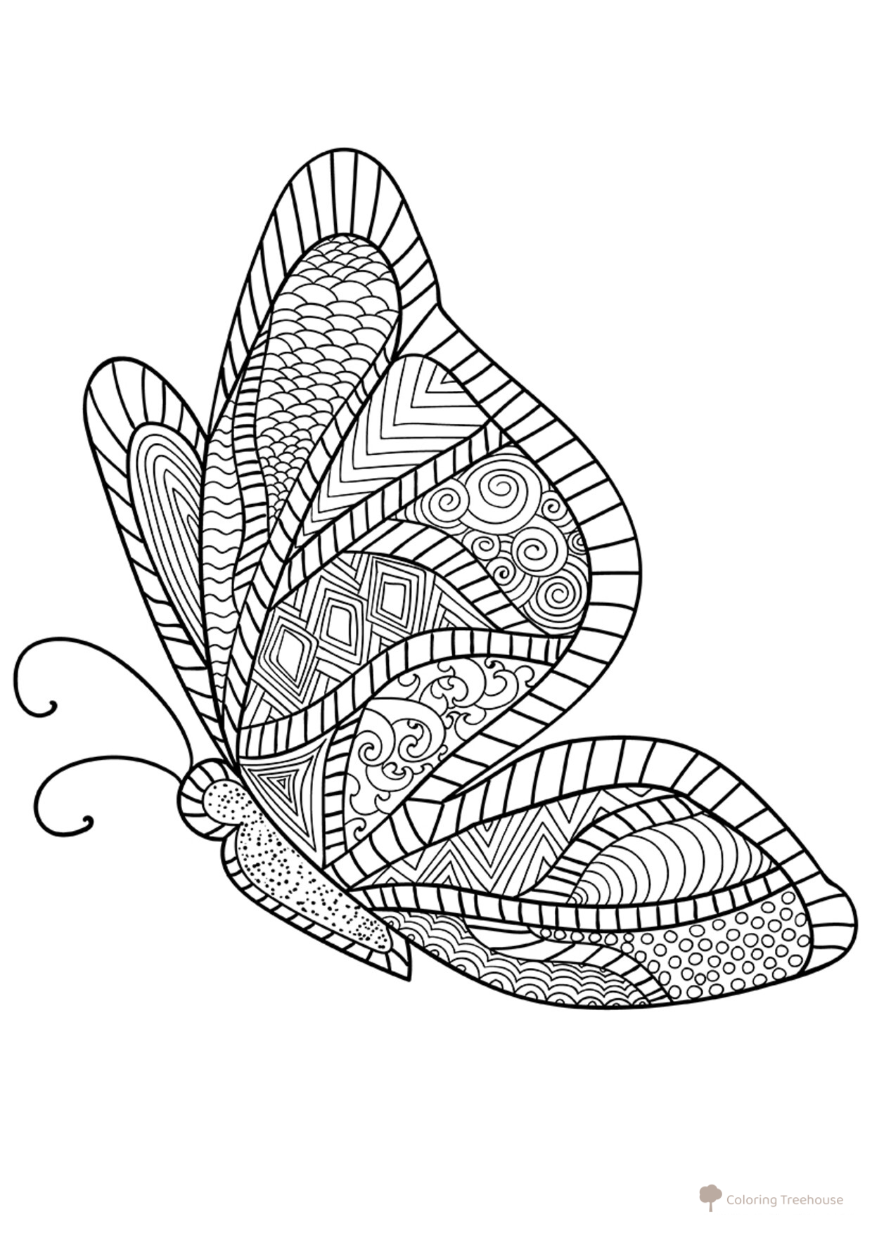 Раскраска Бабочка dibujo para colorear gratis de Complejas y bellas hojas para colorear de animales, aves, peces e insectos