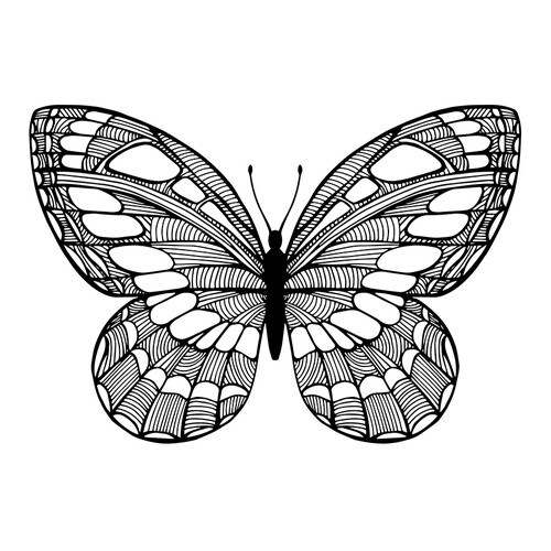 Página para colorear: Mariposa con diseños de gotas dibujo para colorear gratis de Complejas y bellas hojas para colorear de animales, aves, peces e insectos