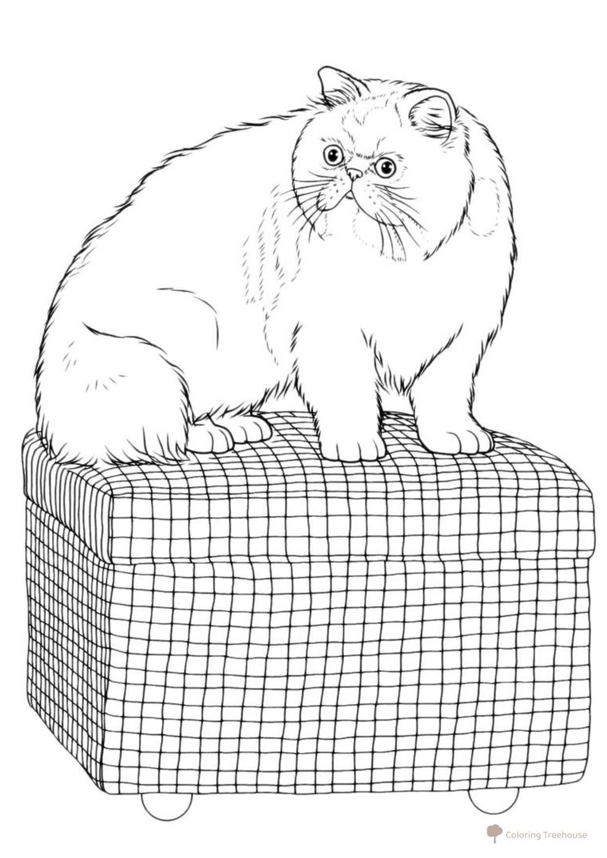 Página para colorear: Gran gato en el puf dibujo para colorear gratis de Páginas para colorear de gatos, gatas y gatitos