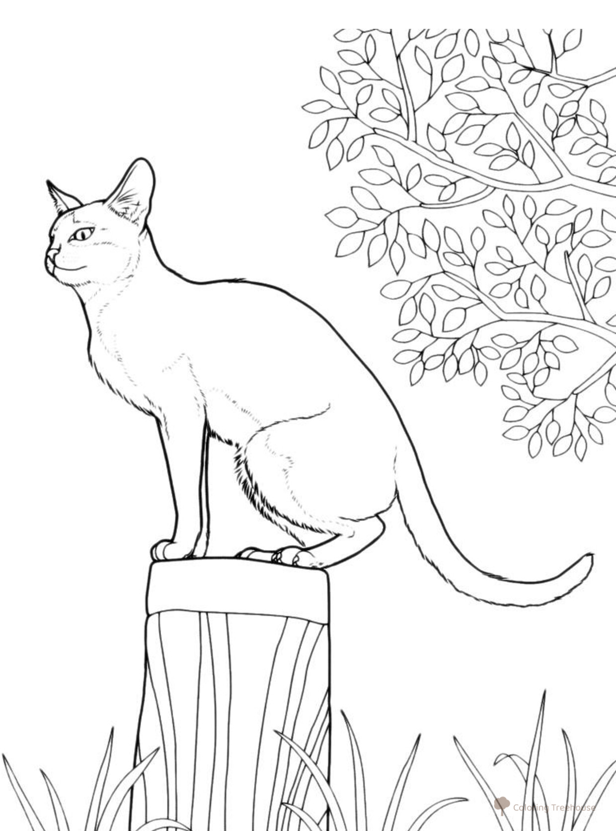 Página para colorear: Gato salvaje sentado en un tocón dibujo para colorear gratis de Páginas para colorear de gatos, gatas y gatitos