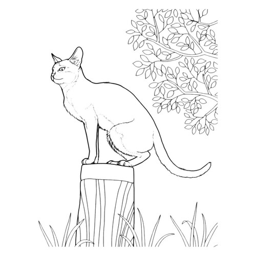 Página para colorear: Gato salvaje sentado en un tocón dibujo para colorear gratis de Páginas para colorear de gatos, gatas y gatitos