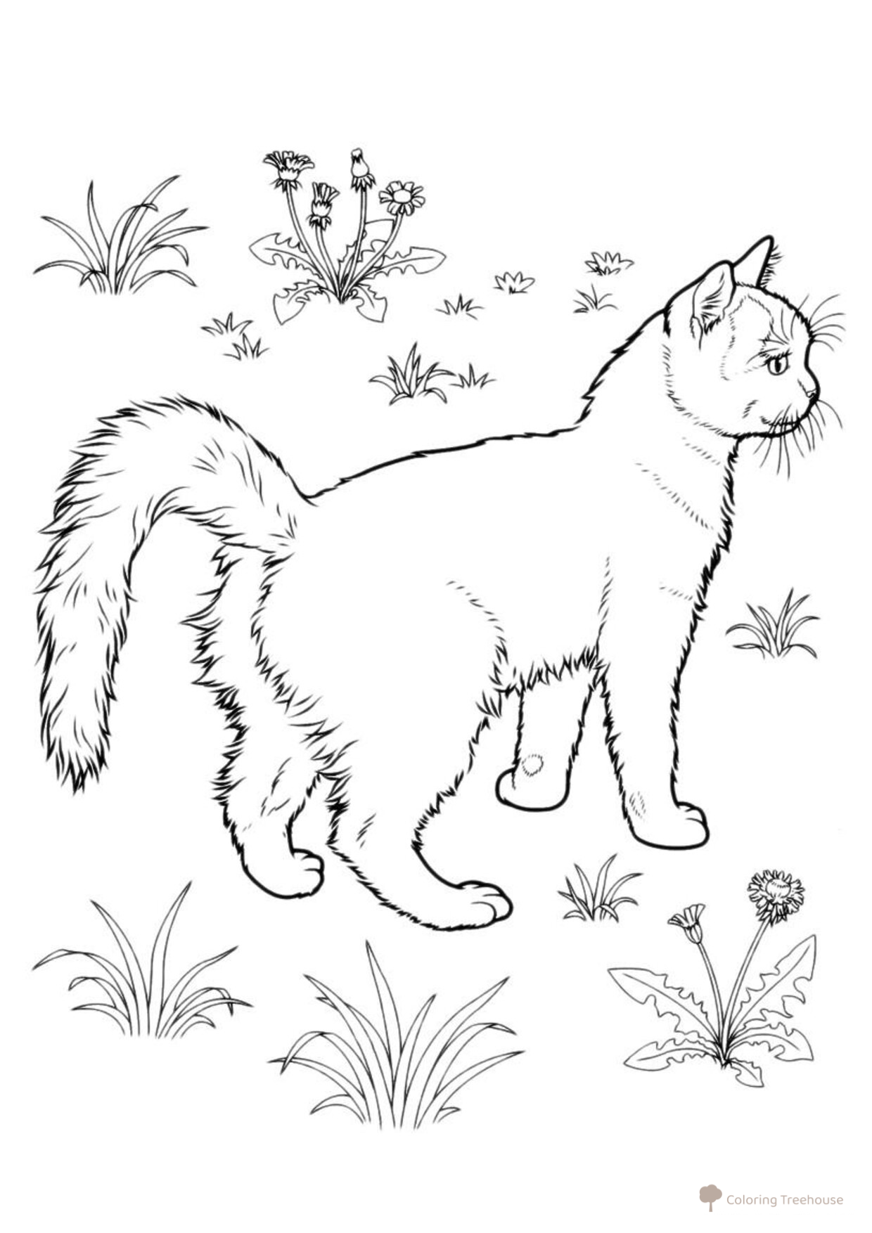 Página para colorear: Gato en el prado dibujo para colorear gratis de Páginas para colorear de gatos, gatas y gatitos
